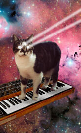 Synthesizer Kitty