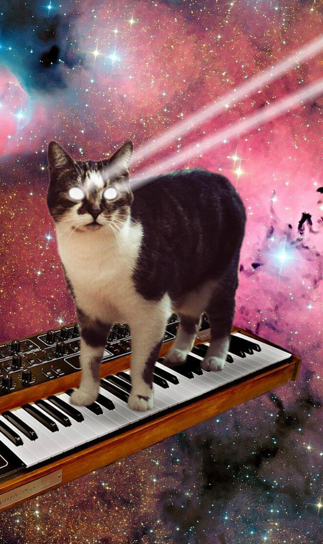Synthesizer Kitty