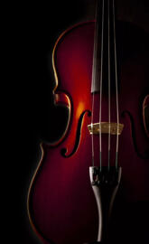 Violin