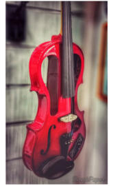 Red Violin Institute