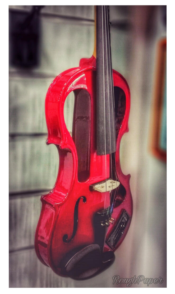 Red Violin Institute