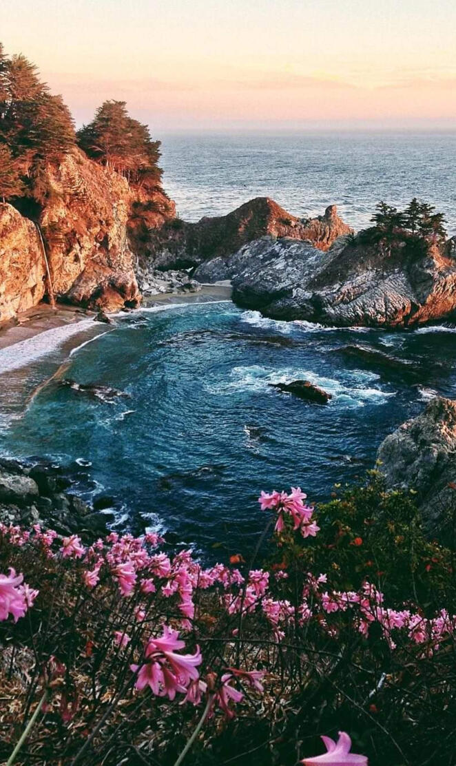 California coast 