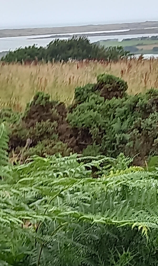 Costal Lake District 