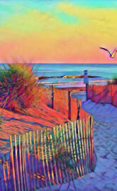 seagull beach 