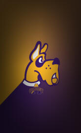 University of Albany