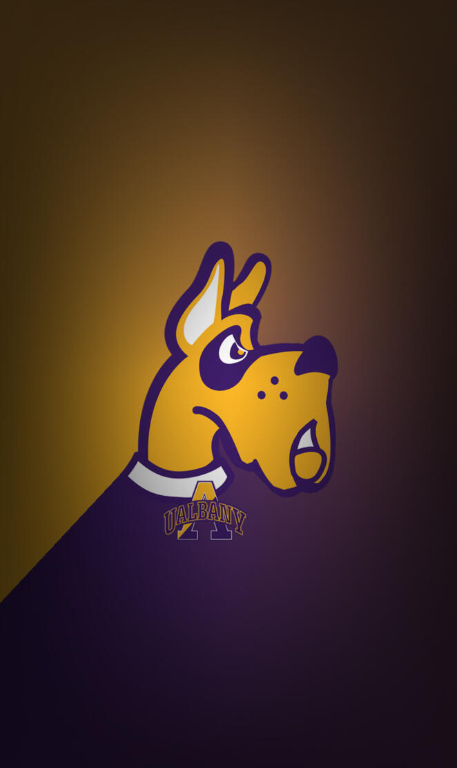 University of Albany