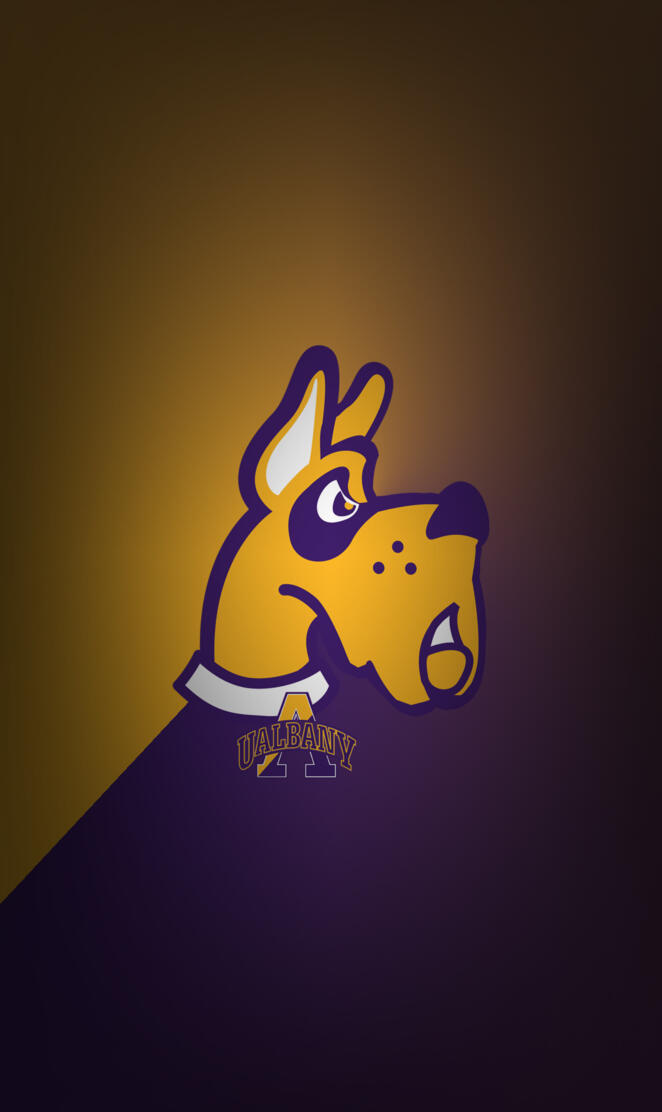 University of Albany