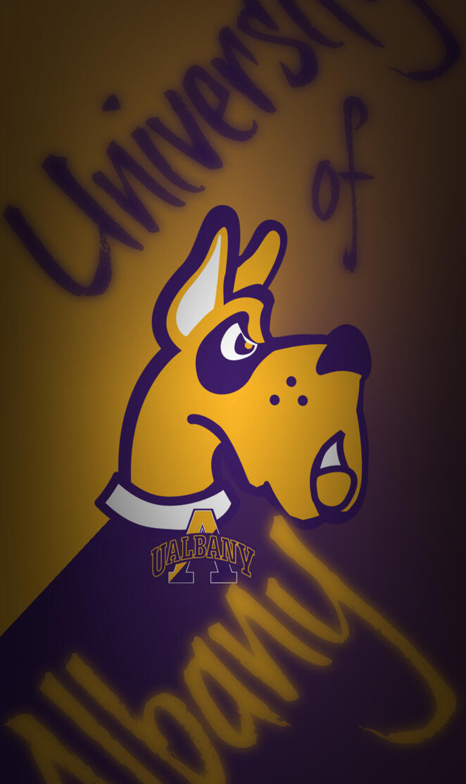 University of Albany