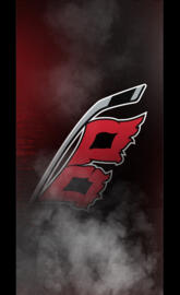 Carolina Hurricanes 
