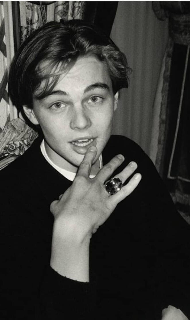 Leonardo DiCaprio 