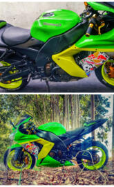 willian da zx10r