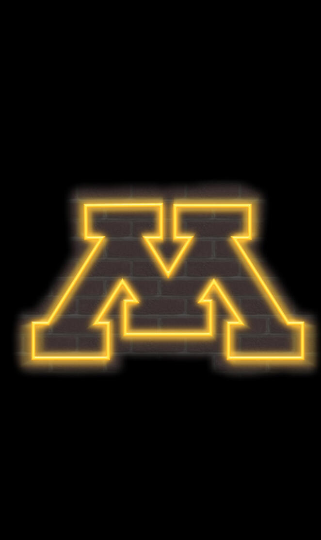 Minnesota Gophers