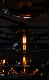Bulbs