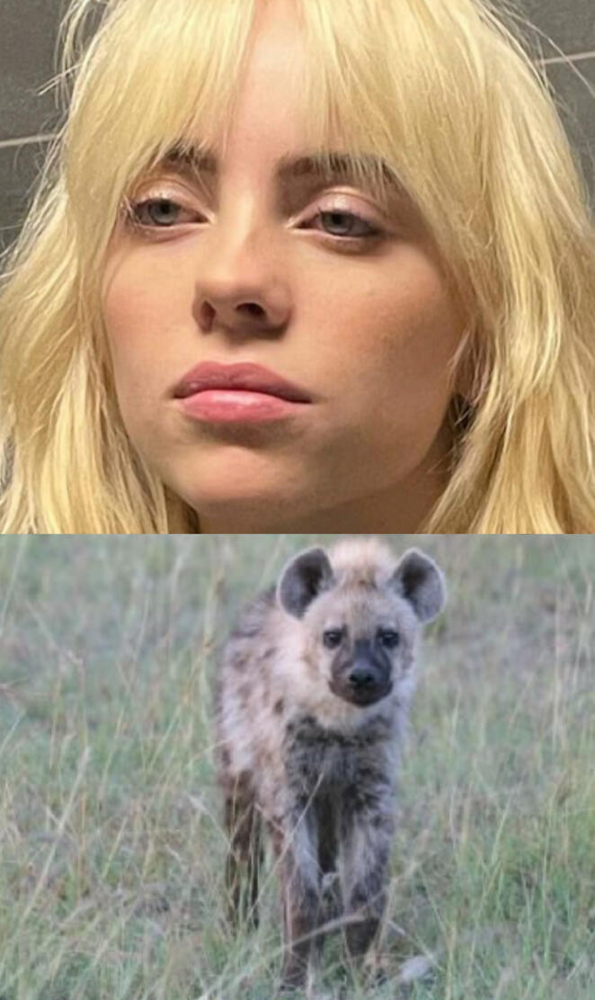 Billie fav animal 