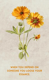 Quote about life......