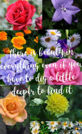 Quote about beauty 