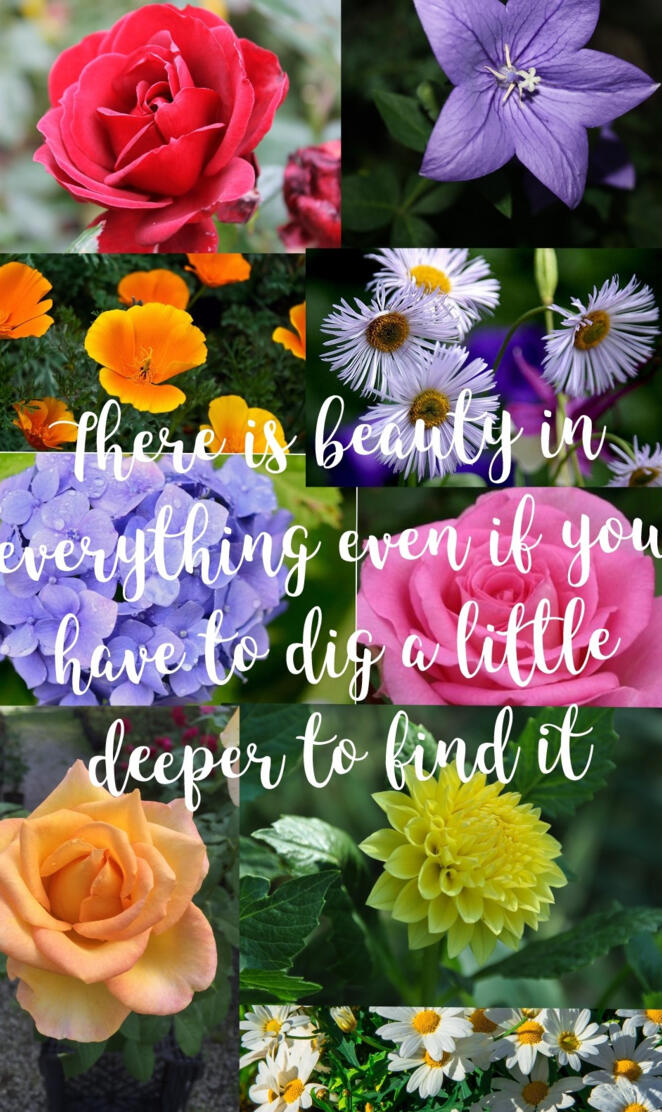 Quote about beauty 