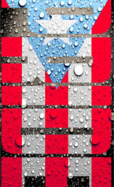 Puerto Rican Pride