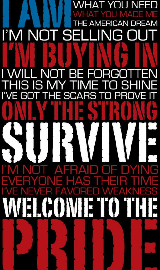 FiveFingerDeathPunch