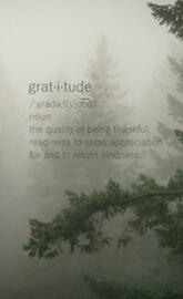Gratitude 