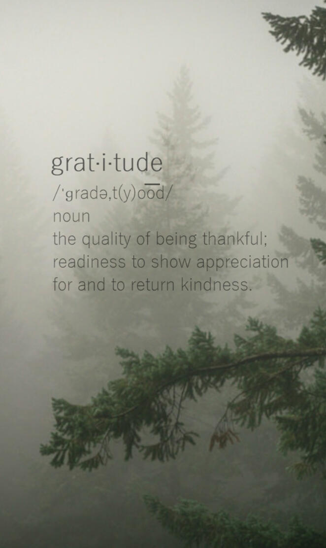 Gratitude 