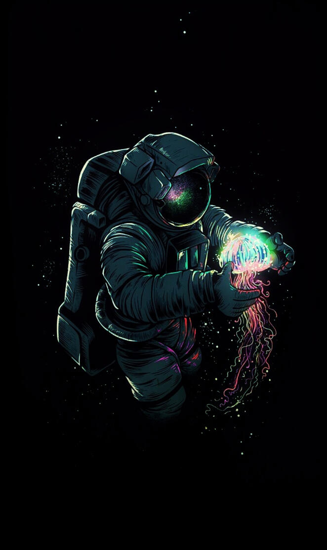 Space explorer 