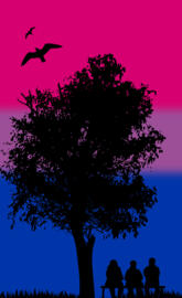 Hidden Bisexual Flag