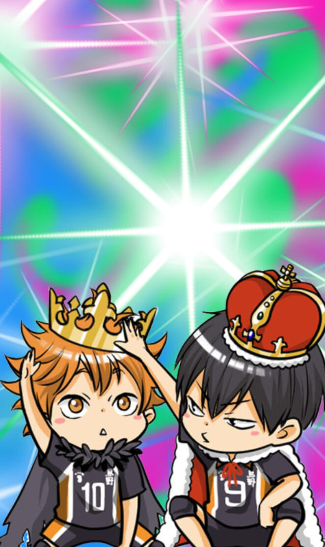 Hinata Kageyama Poly