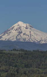 Mt Hood Wilderness