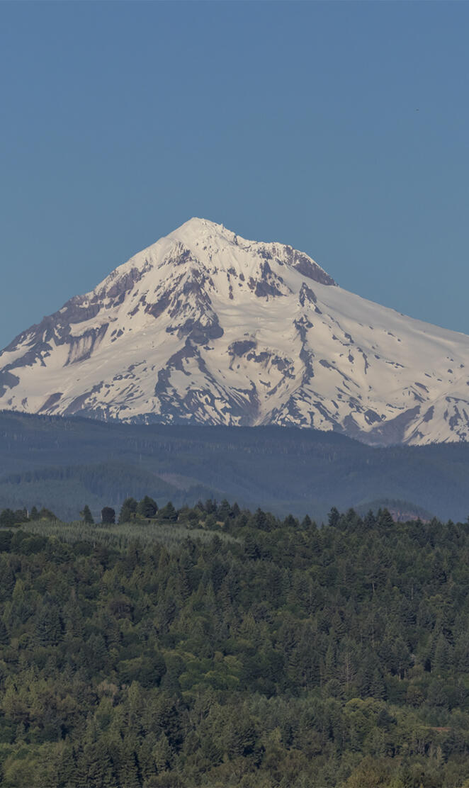 Mt Hood Wilderness