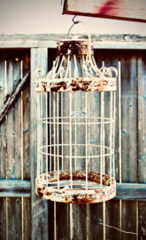 Birdcage 