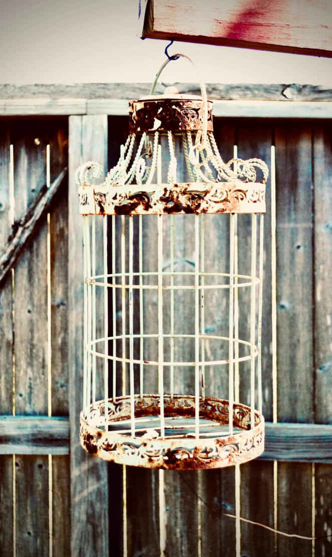 Birdcage 