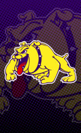 Wylie Bulldogs
