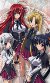 High School DxD