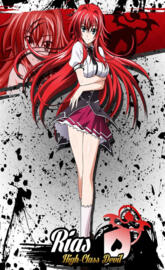 High school dxd