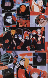 Akatsuki group