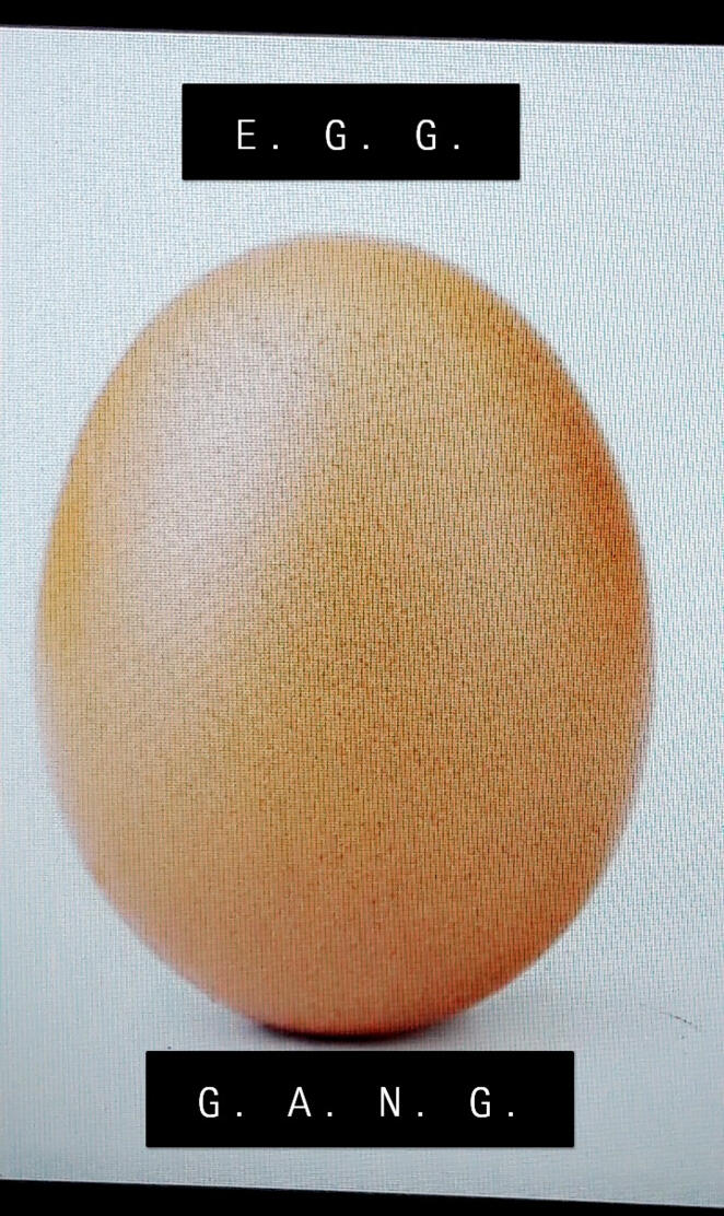 Egg gang