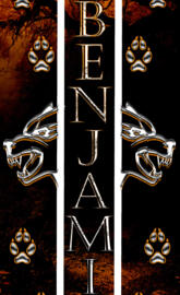 Benjamin Tribe Orange