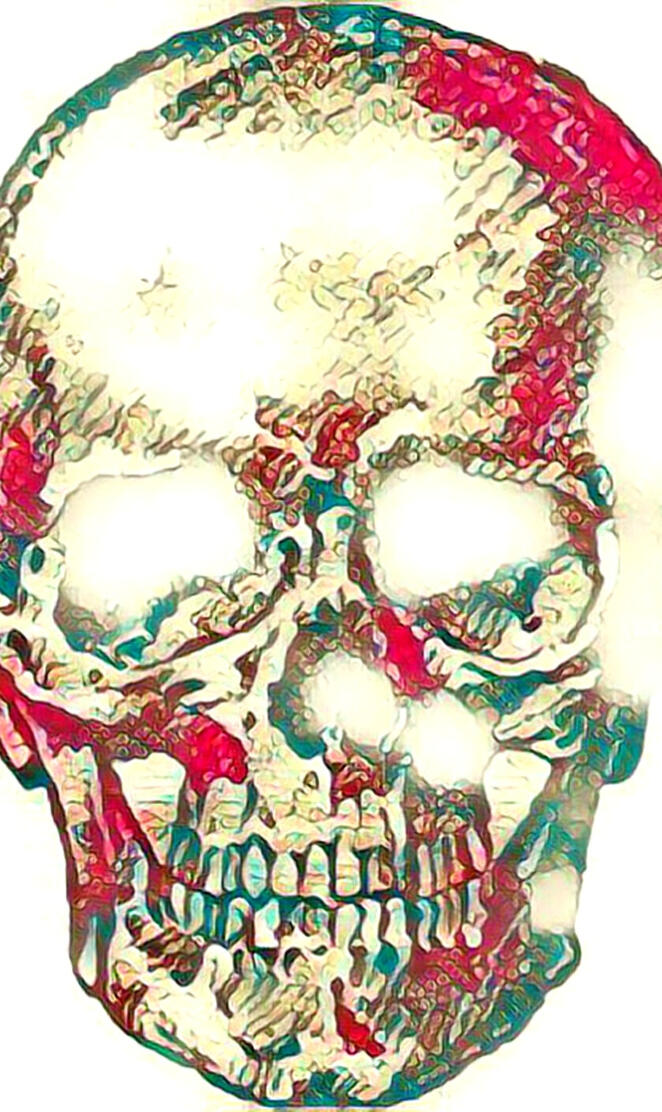 Skull V03