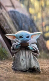 Baby Yoda Bone Broth