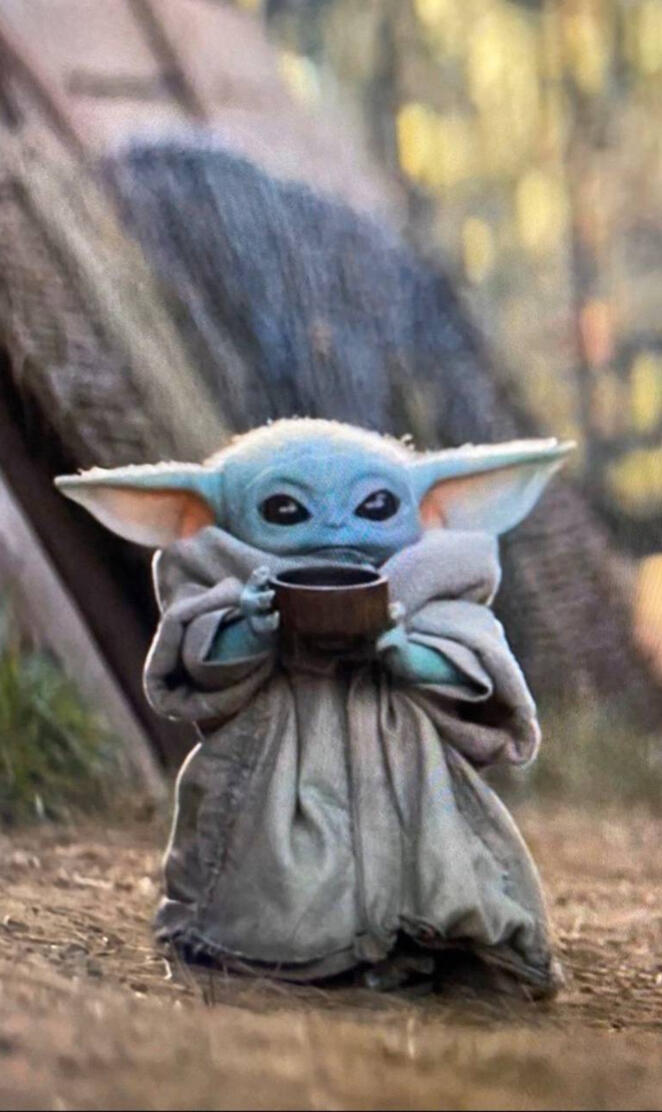 Baby Yoda Bone Broth