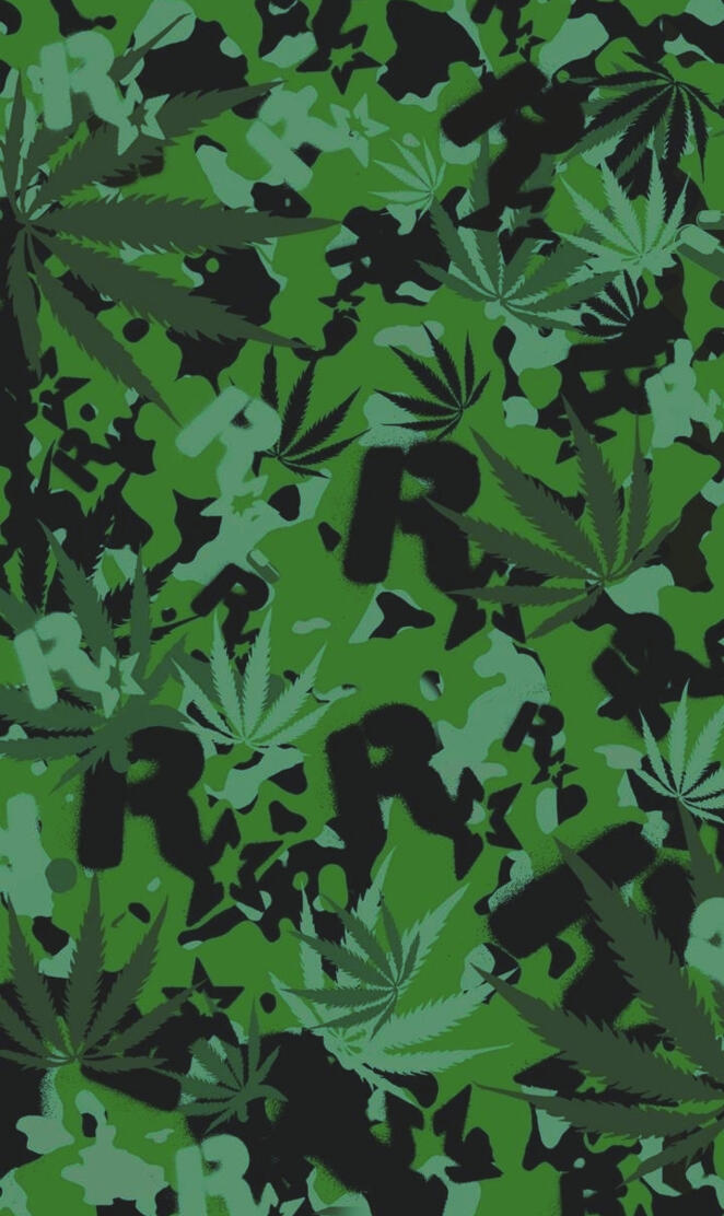 Rockstar game w**d 2