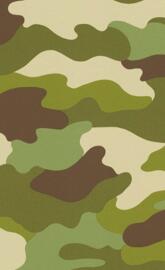 Camouflage Pattern