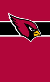 Arizona Cardinals 