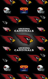 Arizona Cardinals 