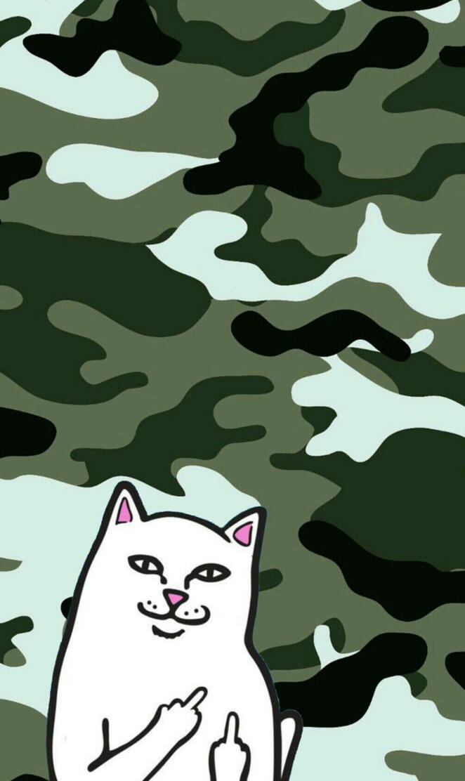 Ripndip Cat