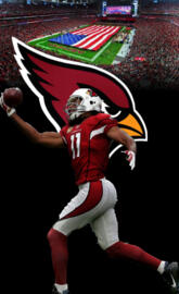 Larry Fitzgerald