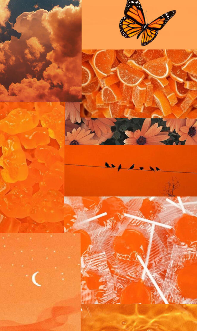 Aesthetic Orange