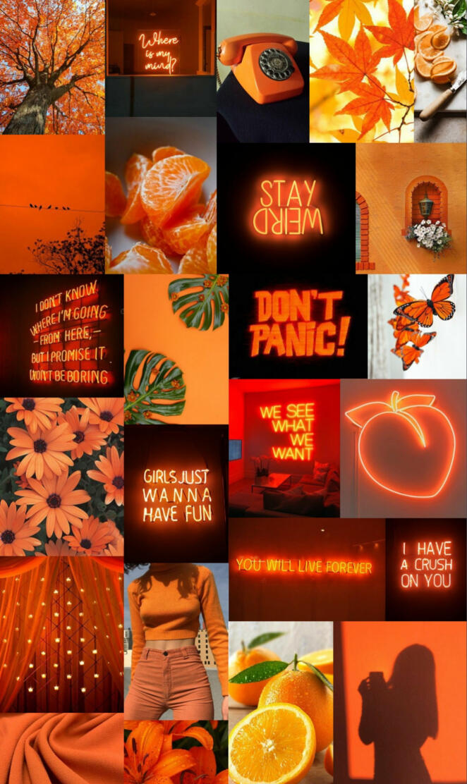 Aesthetic orange 