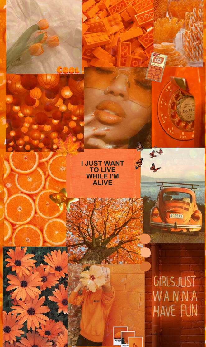 Aesthetic orange